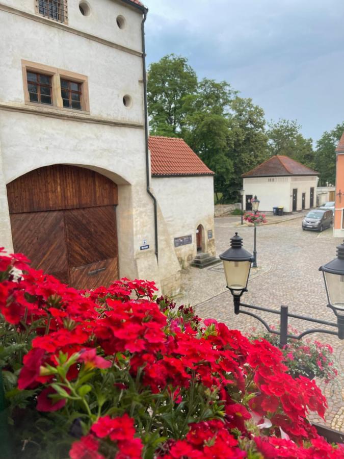 Pension Alt Naumburg Naumburg (Saale) Exterior photo